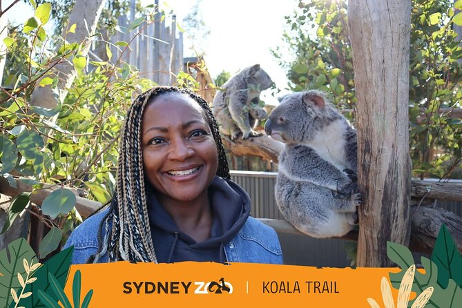 From Sydney: Blue Mountains with Zoo, Koala Photo & Scenic World - Gordon Falls Lookout: a short stop with real atmosphere