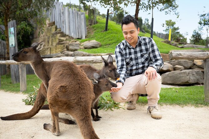 From Sydney: Blue Mountains with Zoo, Koala Photo & Scenic World - Scenic World: three rides and the day’s biggest bottleneck