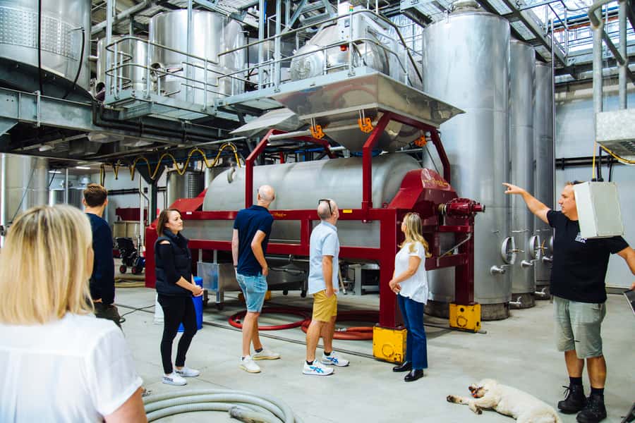 From Sydney: Full-Day Hunter Valley Tour w/ Tastings & Lunch - The third winery and cheese pairing