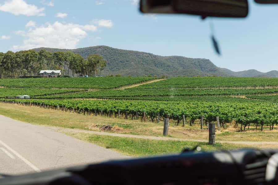 From Sydney: Full-Day Hunter Valley Wine Tour & Lunch - A modern minibus and a social group setting