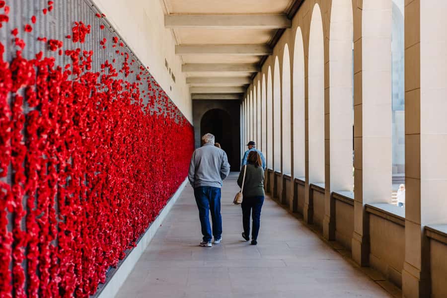 From Sydney: Full-Day Tour to Canberra - Floriade adds colour from September to October