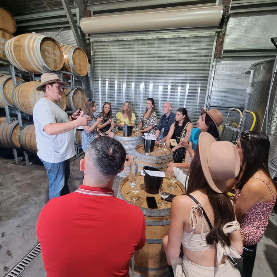 From Sydney: Hunter Valley Wine, Gin & Food Tastings Tour - Quick points before you book