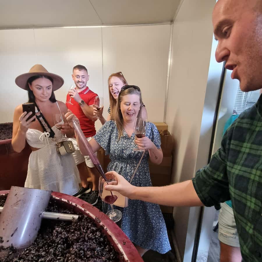 From Sydney: Hunter Valley Wine, Gin & Food Tastings Tour - Who should book this tour?