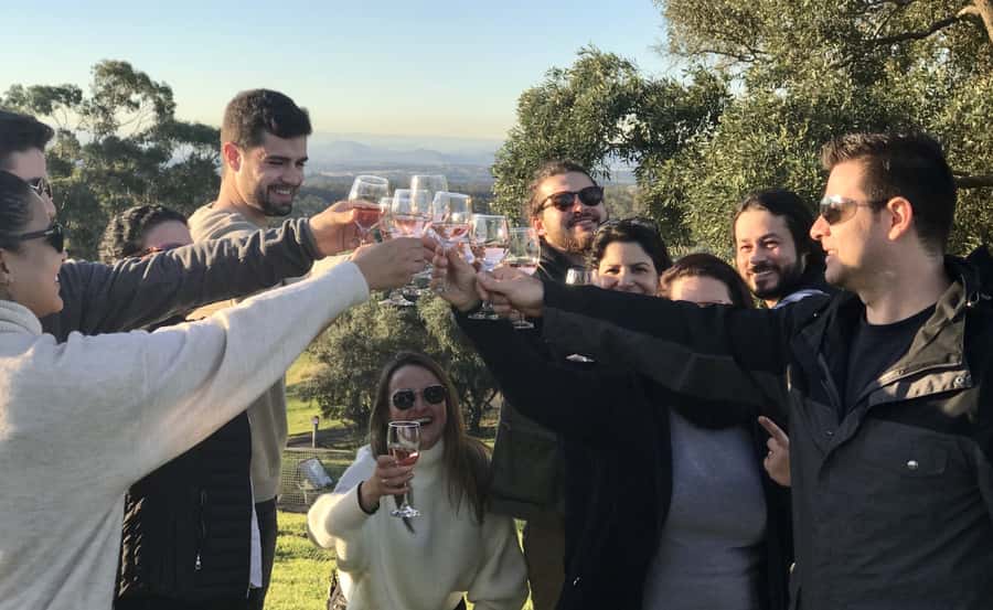 From Sydney: Hunter Valley Wine Tasting & Winery Picnic Tour - Sydney to the Hunter Valley by minibus