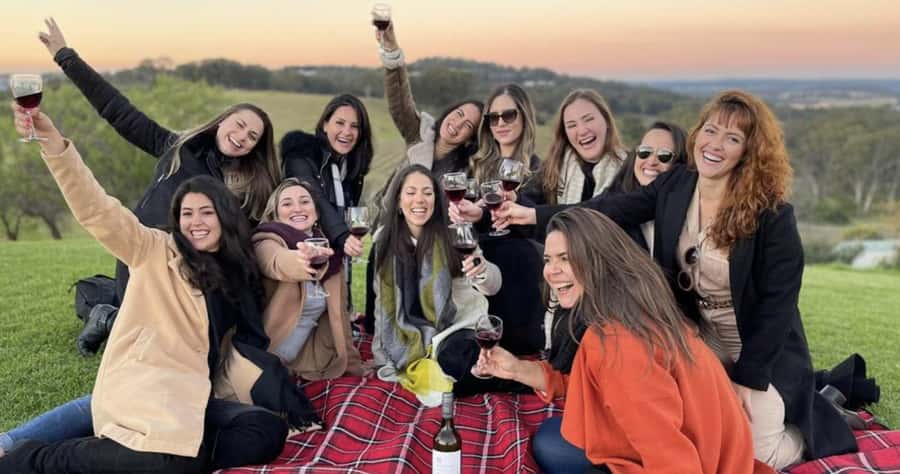 From Sydney: Hunter Valley Wine Tasting & Winery Picnic Tour - What the $107 price really covers