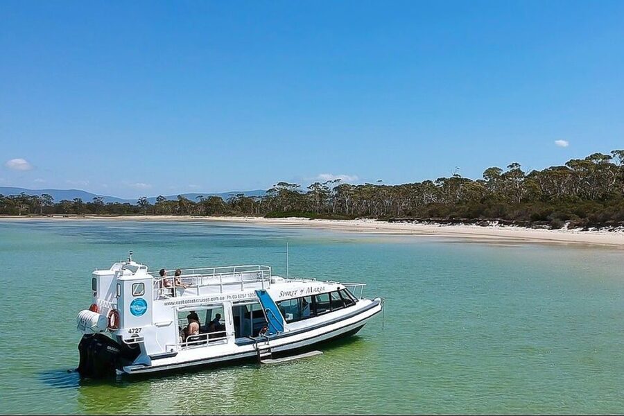 From Triabunna: Maria Island Cruise & Guided Walk with Lunch - Comfort, pace, and the price of $208