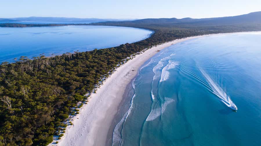 From Triabunna: Maria Island Cruise & Guided Walk with Lunch - Who should book this Maria Island cruise?
