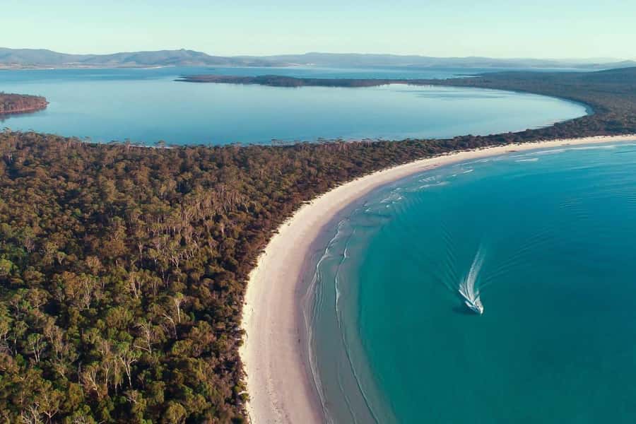 From Triabunna: Maria Island Cruise & Guided Walk with Lunch - Starting at Triabunna before 9 AM