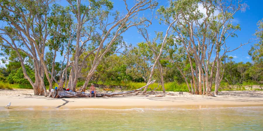 From Yeppoon: Great Keppel Island Snorkeling Hire with Lunch - Leaving Yeppoon by Ferry