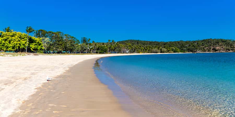 From Yeppoon: Great Keppel Island Snorkeling Hire with Lunch - Practical Details That Matter