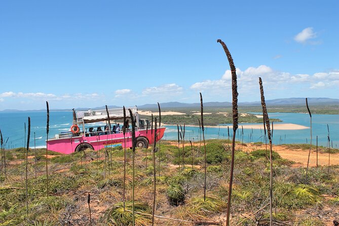 Full-Day 1770 Tour by LARC Amphibious Vehicle Including Sandboarding and Bustard Head Lightstation - Who Will Enjoy This Most?