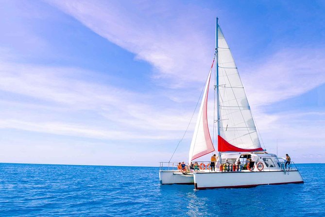 Full-Day Great Barrier Reef Sailing Trip from Cairns - Why the $179.31 fare can be good value