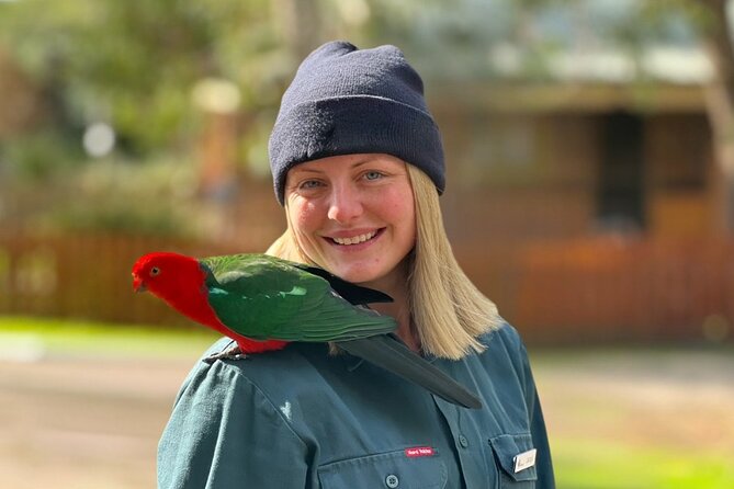 Full-Day Great Ocean Road and 12 Apostles Sunset Tour from Melbourne - Kennett River for koalas and native birds