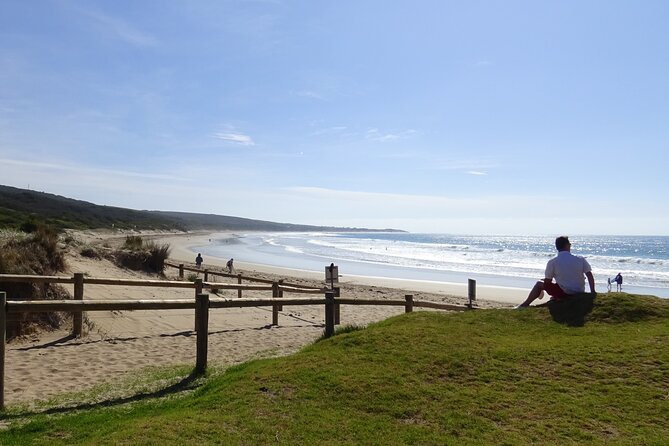 Full-Day Great Ocean Road and 12 Apostles Tour - Why this Great Ocean Road day trip works