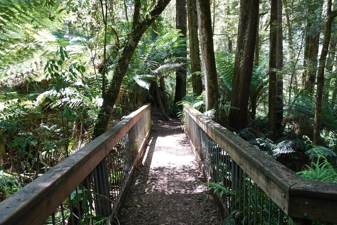 Full-Day Great Ocean Road and 12 Apostles Tour - Memorial Arch and the road’s story