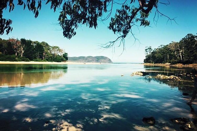 Full-Day Guided Bruny Island Tour from Hobart - Why Bruny Island makes a strong day from Hobart