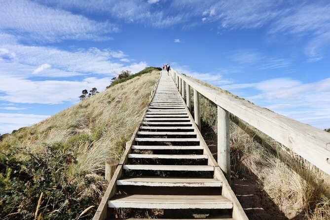 Full-Day Guided Bruny Island Tour from Hobart - The Neck lookout delivers the big view