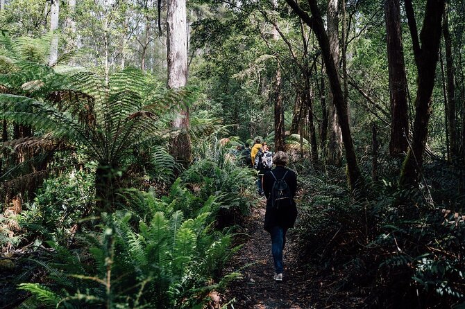 Full-Day Guided Bruny Island Tour from Hobart - Adventure Bay offers a short beach pause
