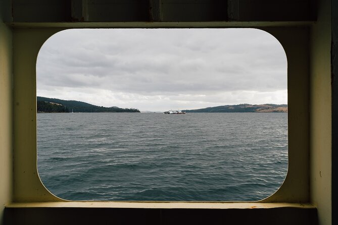 Full-Day Guided Bruny Island Tour from Hobart - Mavista gives you a taste of the rainforest