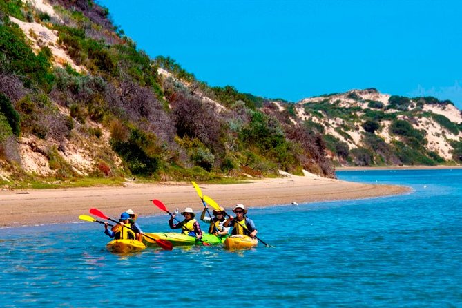 Full Day Kayaking Tour in Coorong National Park - Why the Coorong works so well by kayak