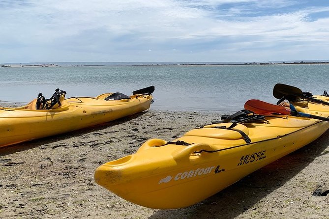 Full Day Kayaking Tour in Coorong National Park - What the $39 price really covers