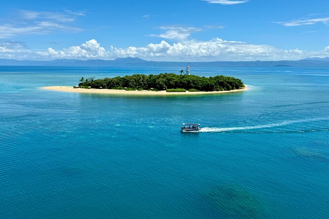 Full Day Low Isles Sailing & Snorkelling Cruise from Port Douglas - Lunch, Morning Tea, and Afternoon Tea