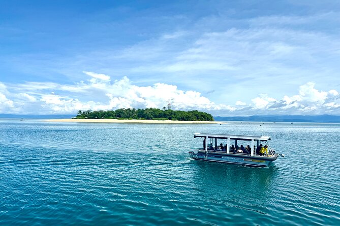 Full Day Low Isles Sailing & Snorkelling Cruise from Port Douglas - Who Will Enjoy This Cruise Most?
