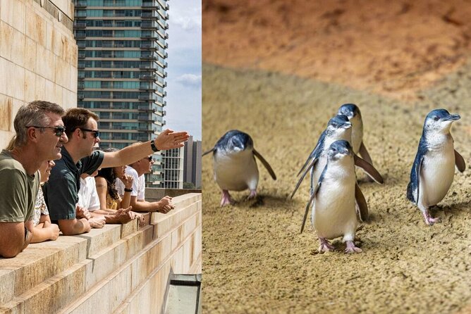 Full-day Melbourne City Sightseeing with Penguin Parade - Key things to know before booking