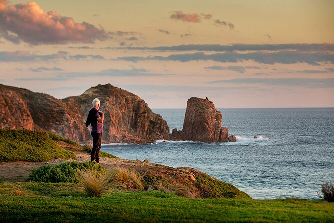 Full-Day Phillip Island Tour with Kangaroo, Koala and Penguin Parade - What the $104 price really covers