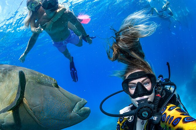 Full Day Reef Cruise and 10 Minute Helicopter Scenic Flight - Why this Cairns reef trip offers more than a standard boat tour