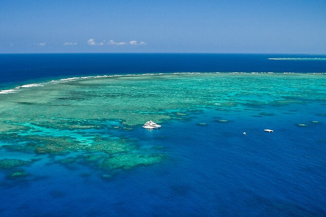 Full Day Reef Cruise and 10 Minute Helicopter Scenic Flight - The barbecue lunch and the one-hour reset