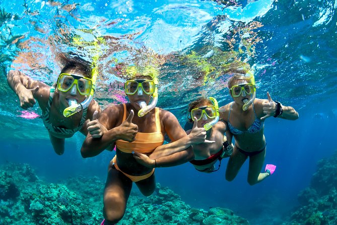 Full Day Reef Cruise and 10 Minute Helicopter Scenic Flight - Is the $283.31 price good value?