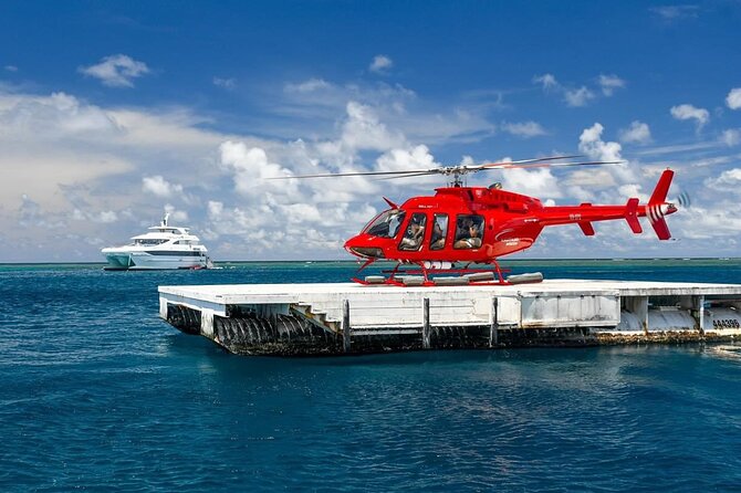 Full Day Reef Cruise and 10 Minute Helicopter Scenic Flight - Saxon or Norman Reef: your first three hours in the water