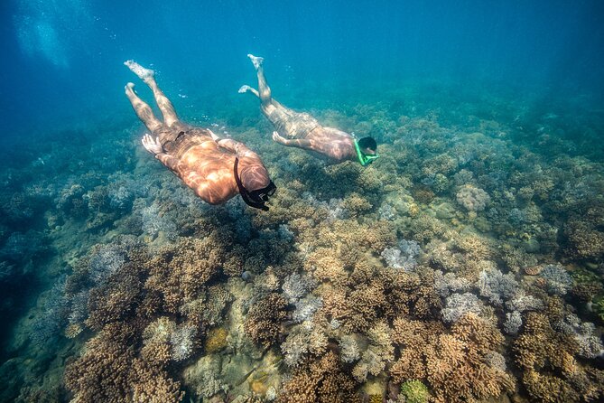 Full-Day Whitsunday Sail and Snorkel Adventure with Lunch - Weather, water conditions, and the long return