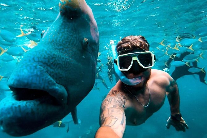 Full-Day Whitsunday Sail and Snorkel Adventure with Lunch - What the $142.73 price really buys