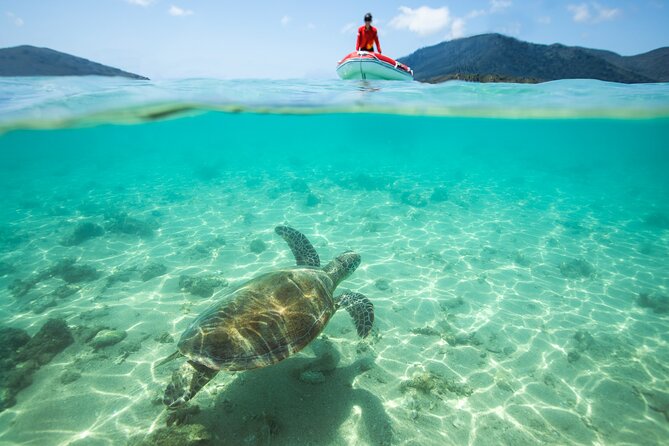 Full-Day Whitsunday Sail and Snorkel Adventure with Lunch - Who should book this Whitsunday day trip?