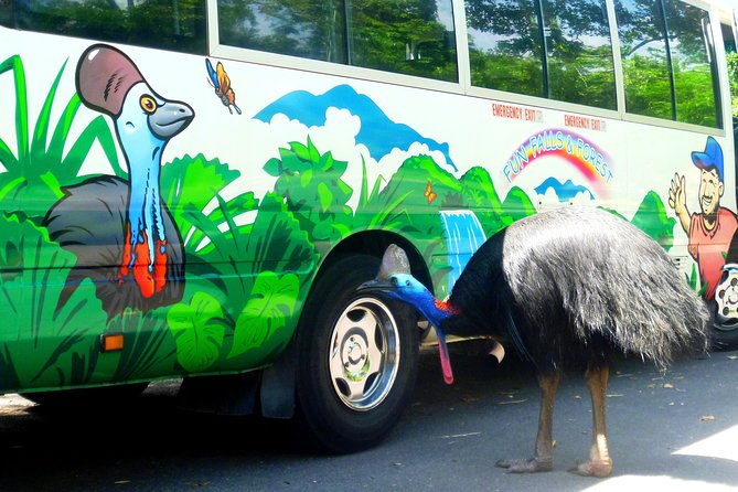 Fun, Falls and Forests Day Trip from Cairns - What the transport and group size feel like