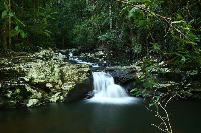 Glow-worms, Waterfalls & Rainforest Experience - What to pack for the six-hour outing