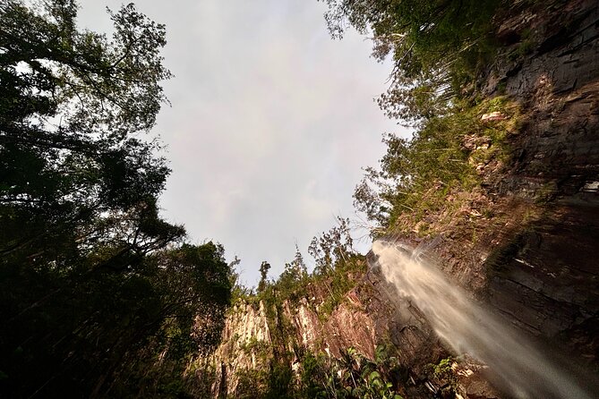 Glow-worms, Waterfalls & Rainforest Experience - Who will enjoy this most