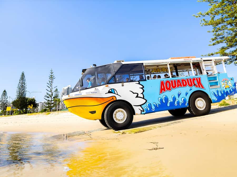 Gold Coast: 1-Hour Land and Water Duck Tour - What you see from the Broadwater