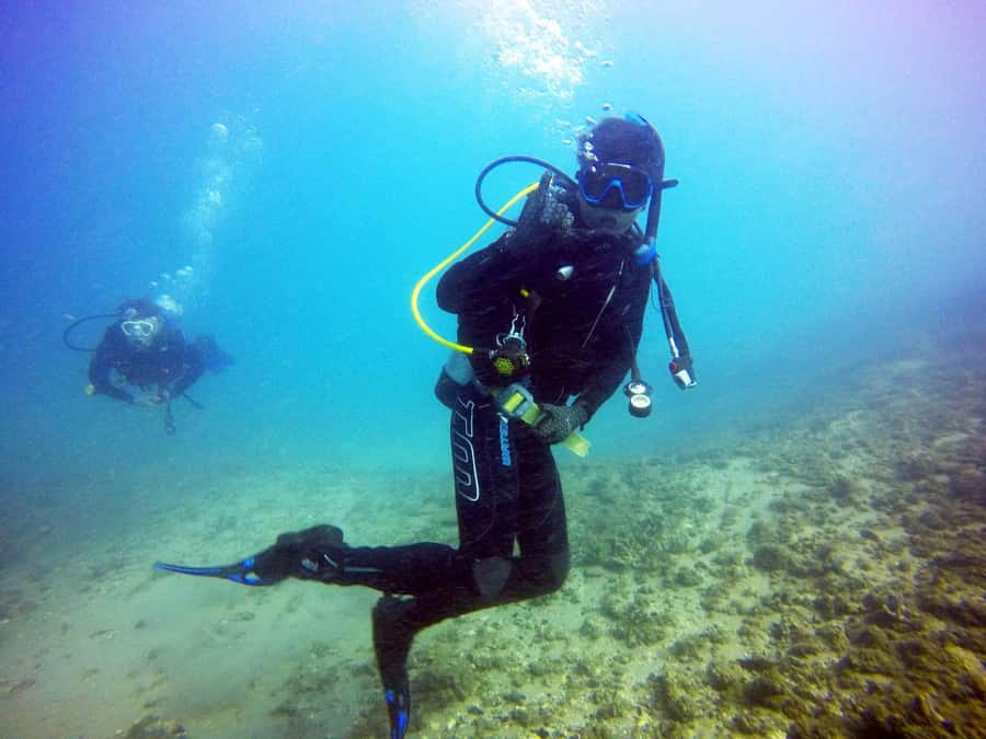 Gold Coast: 3-Day PADI Open Water Course - Key points to know before booking