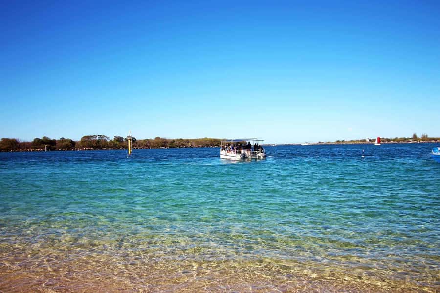Gold Coast: 3-Day PADI Open Water Course - Academic training before you enter the water