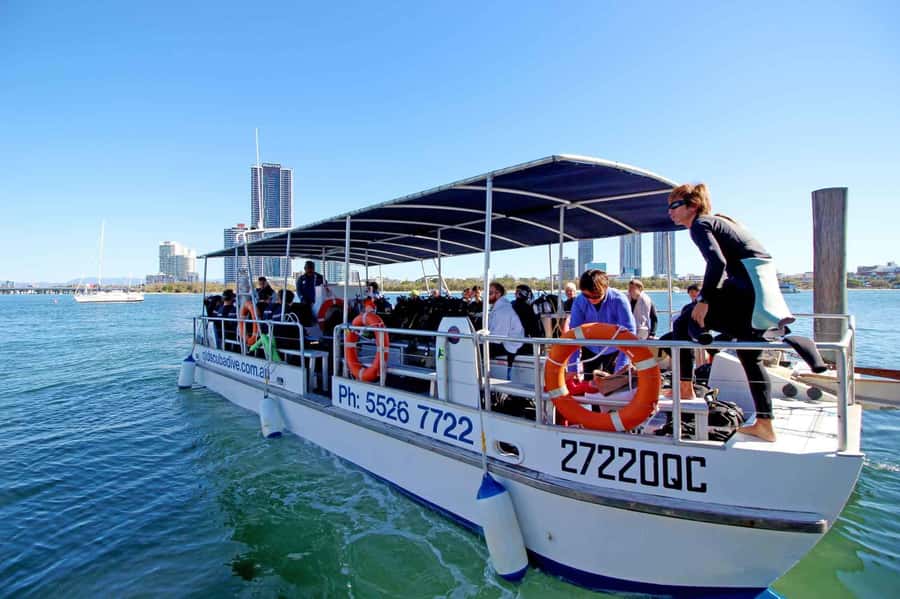 Gold Coast: 3-Day PADI Open Water Course - Who should take this course