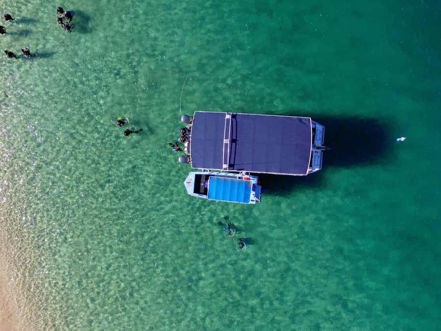 Gold Coast: 3-Day PADI Open Water Course - Meeting the instructor in Surfers Paradise