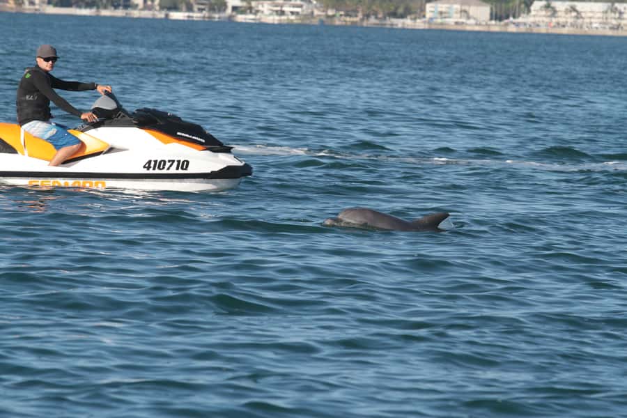 Gold Coast: 30 min Jet Ski Hire - No Slow Zones - Starting behind the blue shop at the marina