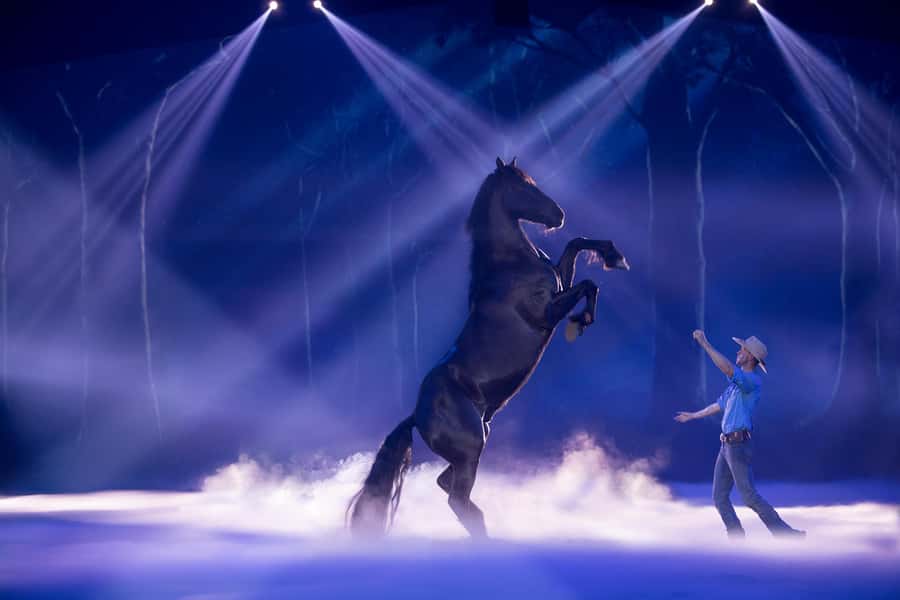 Gold Coast: Australian Outback Spectacular Dinner & Show - What the Australian Outback Spectacular actually is