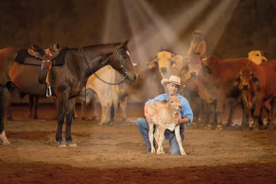 Gold Coast: Australian Outback Spectacular Dinner & Show - How the two-hour evening feels