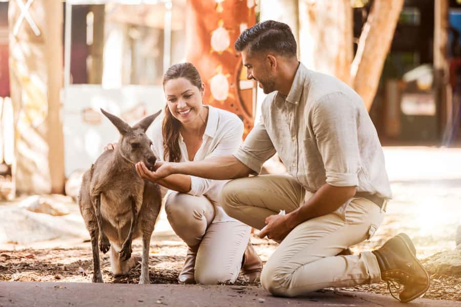 Gold Coast: Dreamworld 1-Day Entry Ticket - Dreamworld at a glance: what your $61 buys