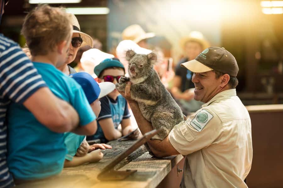 Gold Coast: Dreamworld 1-Day Entry Ticket - Who gets the best value from this ticket?
