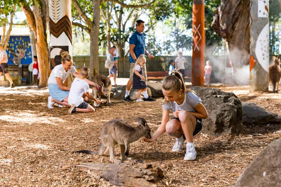Gold Coast: Dreamworld & SkyPoint 2-Day Ticket - Rivertown brings newer energy to the park